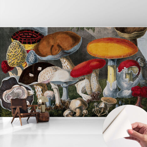 Fotomurale adesivo stickers - murali decorativo - soggiorno moderno - effetto realistico - Funghi botanici 416x254 cm (1/5)