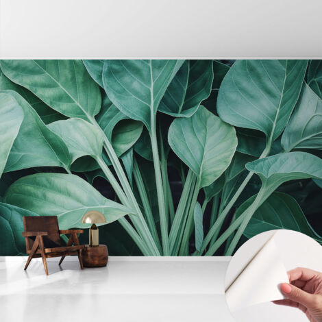 Carta da parati autoadesiva - Fotomurale adesivo - design elegante - stile moderno - Natura verde 416x254 cm (1/5)