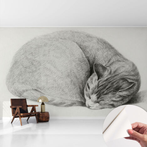 Carta da parati autoadesiva - fotomurale - decorazione parete - stile elegante - decorazione casa - Gatto raggomitolato 416x254 cm (1/5)