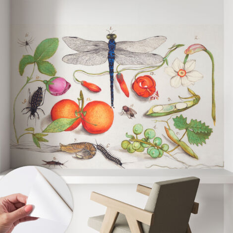 Carta da parati autoadesiva - fotomurale - decorazione parete - stile elegante - decorazione casa - Illustrazione naturalistica 104x70 cm (1/5)