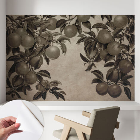 Carta da parati autoadesiva - fotomurale - decorazione parete - murale - adesivo da muro - Motivo fruttato 104x70 cm (1/5)