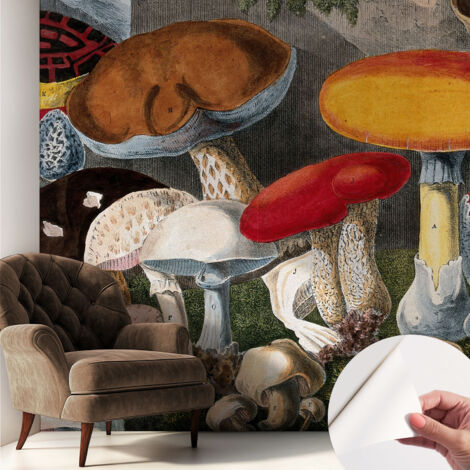 Fotomurale adesivo stickers - murali decorativo - soggiorno moderno - effetto realistico - Funghi botanici 250x250 cm (1/5)