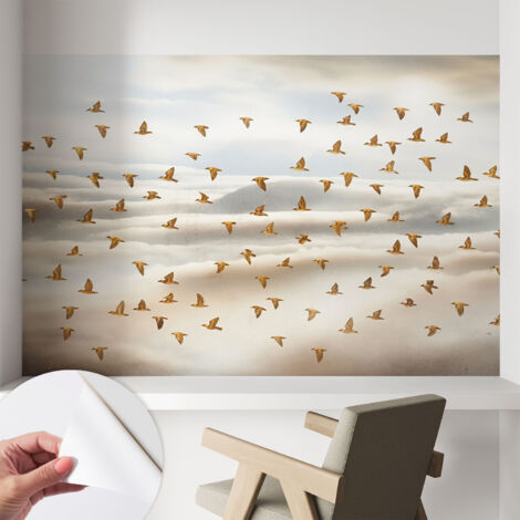 Fotomurale adesivo - Carta da parati adesiva - per la cucina camera da letto per la soggiorno - Uccelli in volo 104x70 cm (1/5)