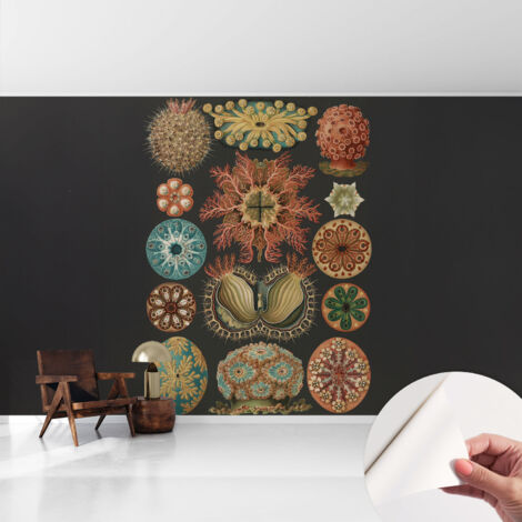Carta da parati autoadesiva - fotomurale - alta qualità - per la cucina - camera da letto - Ispirazioni marine 416x254 cm (1/5)
