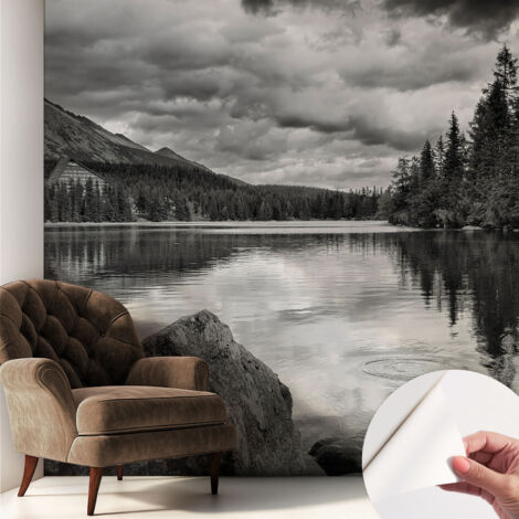 Fotomurale adesivo stickers - murali decorativo - soggiorno moderno - effetto realistico - Panorama montano 250x250 cm (1/5)