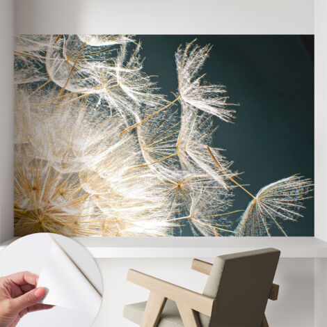 Carta da parati autoadesiva moderna - fotomurale - lavabile - ufficio - design moderno - Puffball di leggerezza 104x70 cm (1/5)