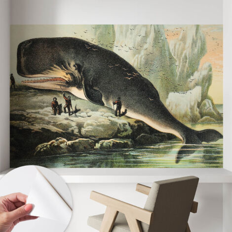 Carta da parati autoadesiva - Fotomurale adesivo - soggiorno moderno - resistente - Gigantismo marino 104x70 cm (1/5)