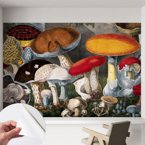 Fotomurale adesivo - parete decorativa - decorazione casa - stile moderno parete - Funghi botanici 152x104 cm