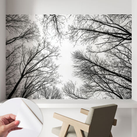 Fotomurale adesivo - Carta da parati adesiva - per la cucina camera da letto per la soggiorno - Rami spogli 104x70 cm (1/5)