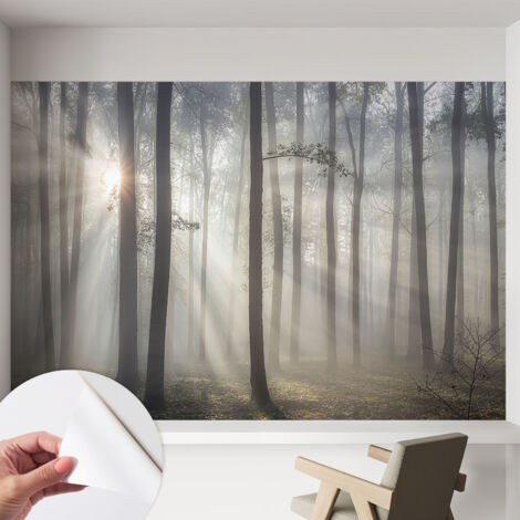 Fotomurale adesivo - murale da parete - Carta da parati autoadesiva - design parete moderno - Foresta eterea 152x104 cm (1/5)