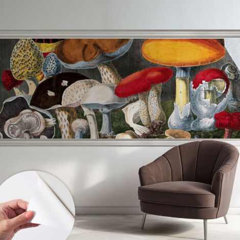 Fotomurale adesivo stickers - murali decorativo - soggiorno moderno - effetto realistico - Funghi botanici 250x104 cm (1/5)
