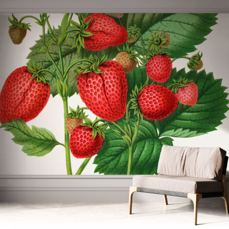 Fotomurale adesivo - Carta da parati adesiva - per la cucina camera da letto per la soggiorno - Frutta estiva 312x219 cm (1/5)