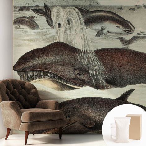 Carta Da Parati In Vlies - Fotomurale - Decorazione Paretie - Per Camera Da Letto - Per Soggiorno - Con Colla Gratuita Creature marine 250x250 cm (1/5)
