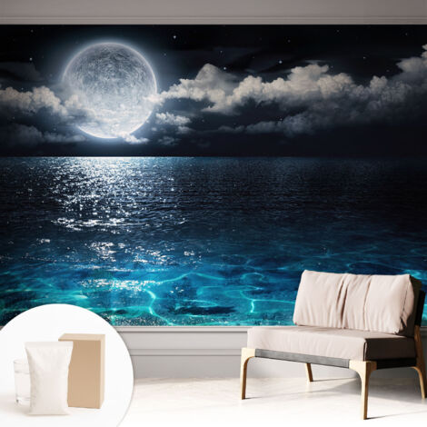 Carta Da Parati Non Tessuto - Con Colla Inclusa per Camera da Letto - Facile da Applica - Motivo decorativo Mare notturno 312x219 cm (1/5)