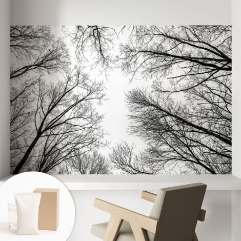Carta Da Parati - Murale Alla Moda Decorazione - Camera Da Letto - Con Colla Gratuita Rami spogli 104x70 cm (1/5)
