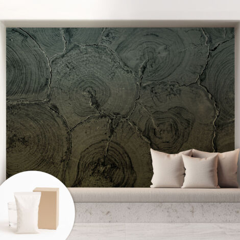Carta Da Parati Con Design Moderno - Per Rinnovamento Rapido - Non-Woven - Per Interni Moderni Anelli di legno 208x146 cm (1/5)