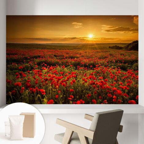 Carta Da Parati In Vlies Decorativa Per Pareti - Con Motivi Moderni - Con Colori Intensi - Per Ufficio Campo di papaveri 104x70 cm (1/5)