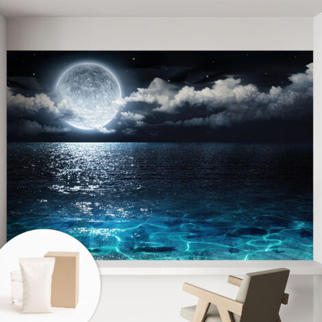 Carta Da Parati Non Tessuto - Con Colla Inclusa per Camera da Letto - Facile da Applica - Motivo decorativo Mare notturno 152x104 cm (1/5)