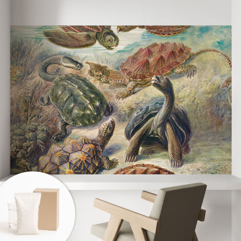Carta Da Parati In Vlies Decorativa Per Pareti - Con Motivi Moderni - Con Colori Intensi - Per Ufficio Fauna delle tartarughe 104x70 cm (1/5)