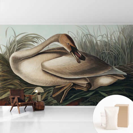 Tapete Vliestapete mit Kleber - Wanddekoration - Wandfolie - 3D Tapete Wand - Wohnungsdeko Natürlicher Vogel 416x254 cm (1/5)