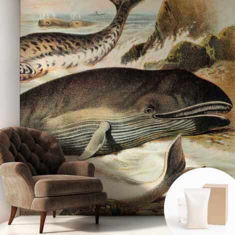 Carta Da Parati Con Design Moderno - Per Rinnovamento Rapido - Non-Woven - Per Interni Moderni Giganti del mare 250x250 cm (1/5)