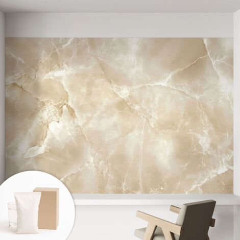Carta Da Parati Con Design Moderno - Per Rinnovamento Rapido - Non-Woven - Per Interni Moderni Pietra naturale 152x104 cm (1/5)