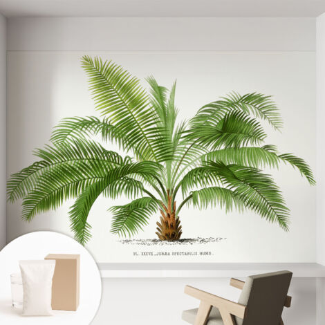 Carta Da Parati - Murale Alla Moda Decorazione - Camera Da Letto - Con Colla Gratuita Palma splendente 152x104 cm (1/5)