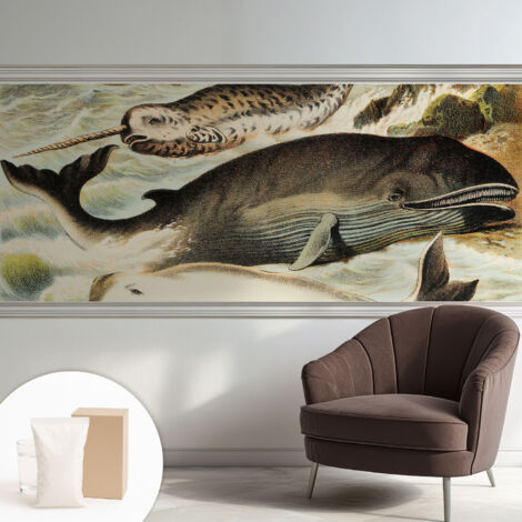 Carta Da Parati Con Design Moderno - Per Rinnovamento Rapido - Non-Woven - Per Interni Moderni Giganti del mare 250x104 cm (1/5)