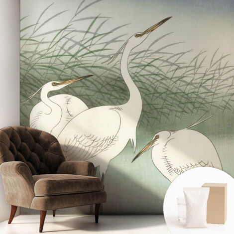 Carta Da Parati - Mural - Con Sala Da Pranzo - Camera Da Letto - Cameretta - Con Colla Gratuita Aironi nell'erba 250x250 cm