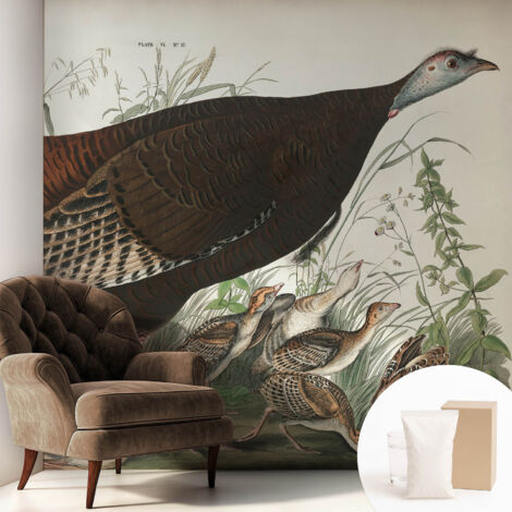 Carta Da Parati Non Tessuto - Con Colla Gratuita - Con Motivi Moderni - Design Elegante Per Pareti Armonia naturale 250x250 cm (1/5)