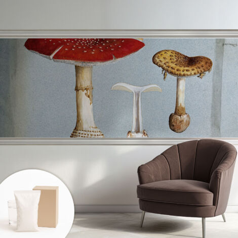 Carta Da Parati - Murale Alla Moda Decorazione - Camera Da Letto - Con Colla Gratuita Incisioni di funghi 250x104 cm (1/5)