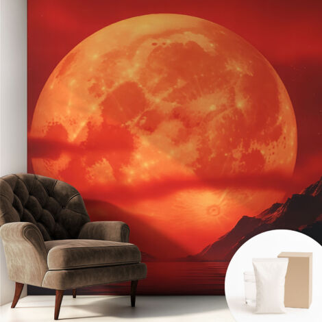 Carta Da Parati Con Design Moderno - Per Rinnovamento Rapido - Non-Woven - Per Interni Moderni Fenomeno notturno 250x250 cm (1/5)