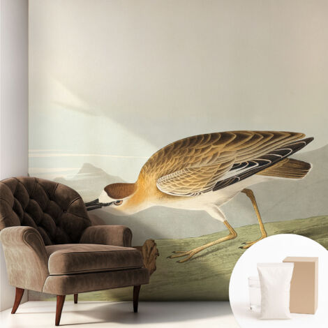 Carta Da Parati Non Tessuto - Con Colla Inclusa per Camera da Letto - Facile da Applica - Motivo decorativo Uccello di montagna 250x250 cm (1/5)