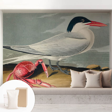 Carta Da Parati - Murale Alla Moda Decorazione - Camera Da Letto - Con Colla Gratuita Paesaggio marino 208x146 cm (1/5)