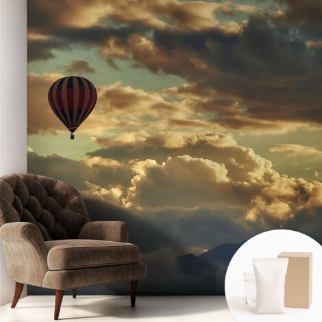 Carta Da Parati Con Design Moderno - Per Rinnovamento Rapido - Non-Woven - Per Interni Moderni Palloncino tra le nuvole 250x250 cm (1/5)