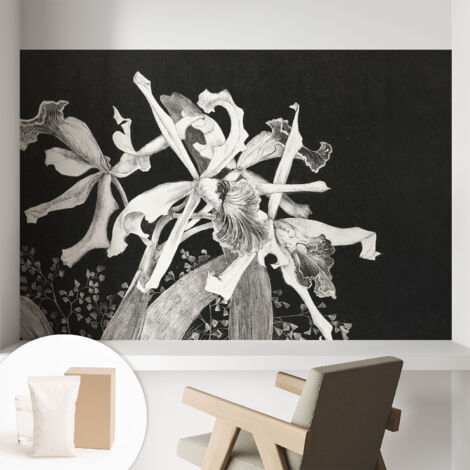 Carta Da Parati In Vlies Decorativa Per Pareti - Con Motivi Moderni - Con Colori Intensi - Per Ufficio Illustrazione di un'orchidea 104x70 cm (1/5)