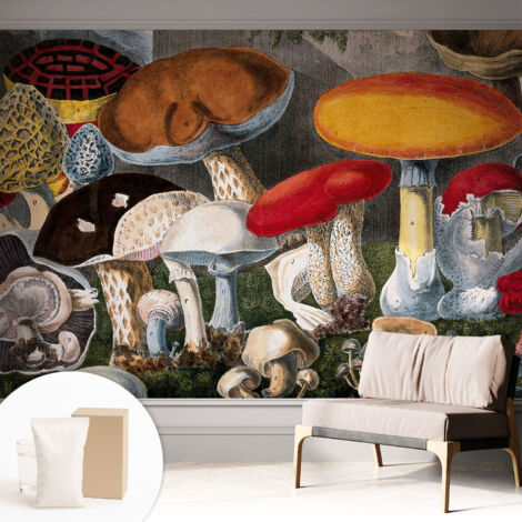 Carta Da Parati - Mural - Con Sala Da Pranzo - Camera Da Letto - Cameretta - Con Colla Gratuita Funghi botanici 312x219 cm (1/5)