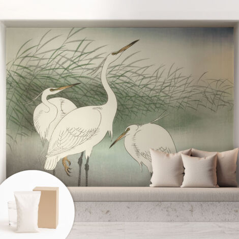 Carta Da Parati - Mural - Con Sala Da Pranzo - Camera Da Letto - Cameretta - Con Colla Gratuita Aironi nell'erba 208x146 cm (1/5)