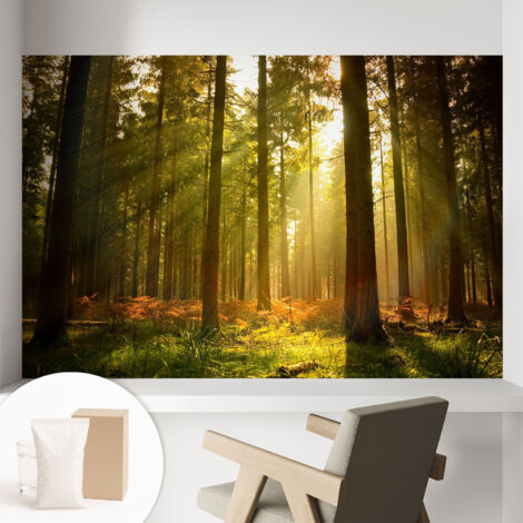 Carta Da Parati Non Tessuto - Di Alta Qualità Per Il Soggiorno La Cucina - Tendenze Moderne - Vlies Ecologico Mattina nella foresta 104x70 cm (1/5)