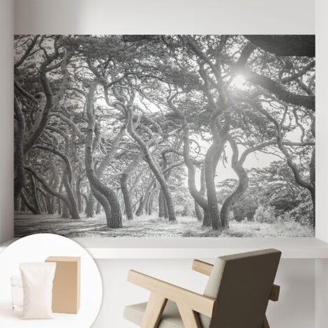 Carta Da Parati - Murale Alla Moda Decorazione - Camera Da Letto - Con Colla Gratuita Foresta atmosferica 104x70 cm (1/5)