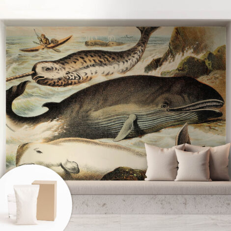 Carta Da Parati Con Design Moderno - Per Rinnovamento Rapido - Non-Woven - Per Interni Moderni Giganti del mare 208x146 cm (1/5)