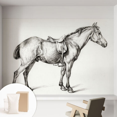 Carta Da Parati - Non Tessuto - Con Colla Inclusa - Per Interni - Ecologica - Con Ingresso - Soggiorno Schizzo di un cavallo 152x104 cm (1/5)