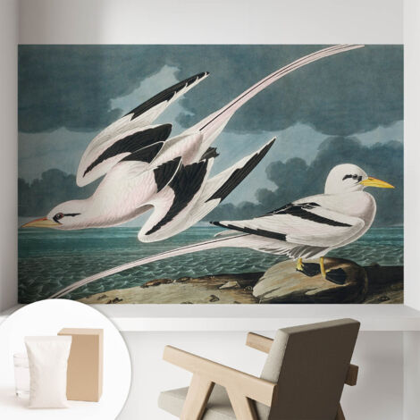 Carta Da Parati Non Tessuto - Con Colla Inclusa per Camera da Letto - Facile da Applica - Motivo decorativo Uccelli in riva al mare 104x70 cm (1/5)