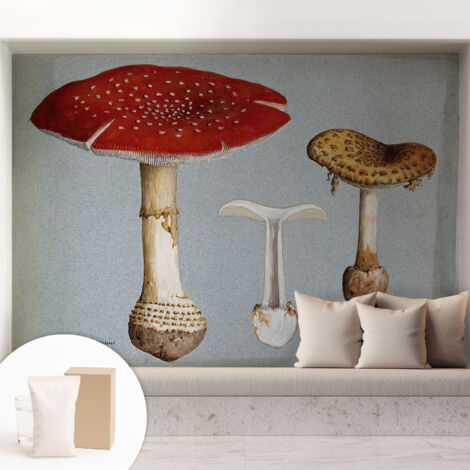 Carta Da Parati - Murale Alla Moda Decorazione - Camera Da Letto - Con Colla Gratuita Incisioni di funghi 208x146 cm (1/5)