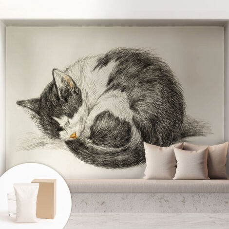 Carta Da Parati Non Tessuto - Decorazione Da Muro - Traspirante - Con Motivo - Per Camera Da Letto Cucina Adorabile gattino 208x146 cm (1/5)