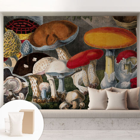Carta Da Parati - Mural - Con Sala Da Pranzo - Camera Da Letto - Cameretta - Con Colla Gratuita Funghi botanici 208x146 cm (1/5)