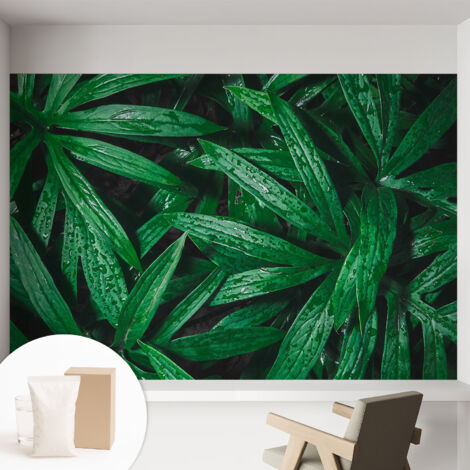 Carta Da Parati In Vlies Decorativa Per Pareti - Con Motivi Moderni - Con Colori Intensi - Per Ufficio vegetazione naturale 152x104 cm (1/5)