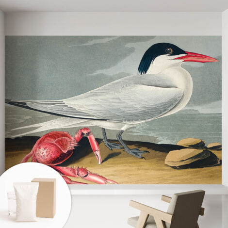 Carta Da Parati - Murale Alla Moda Decorazione - Camera Da Letto - Con Colla Gratuita Paesaggio marino 152x104 cm (1/5)