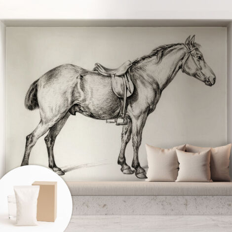 Carta Da Parati - Non Tessuto - Con Colla Inclusa - Per Interni - Ecologica - Con Ingresso - Soggiorno Schizzo di un cavallo 208x146 cm (1/5)