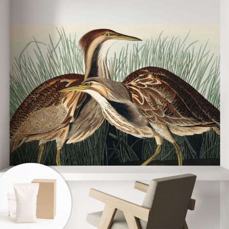 Carta Da Parati - Mural - Con Sala Da Pranzo - Camera Da Letto - Cameretta - Con Colla Gratuita Uccelli realistici 104x70 cm (1/5)
